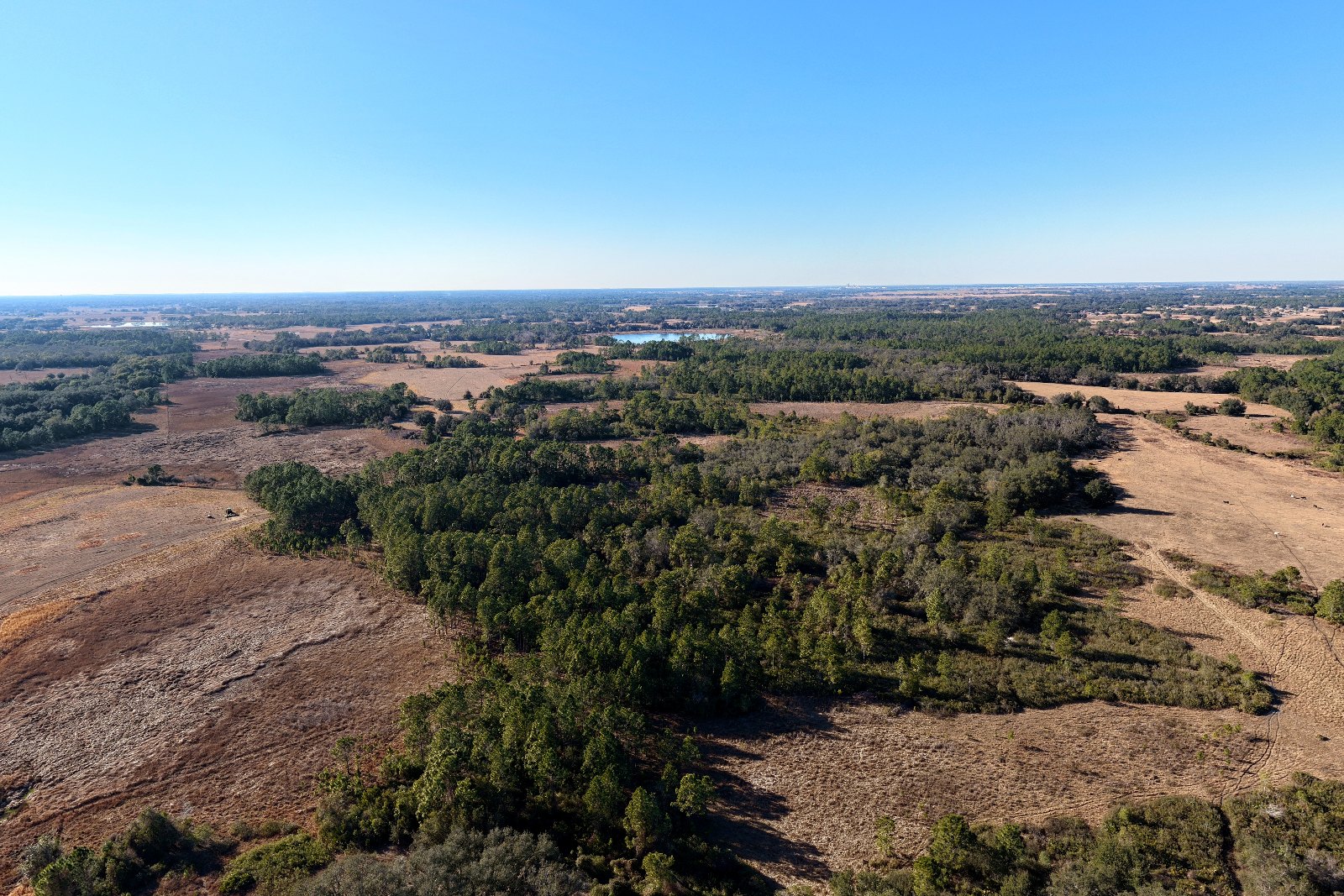 Mascotte 555 acres acreage tree clusters aerial